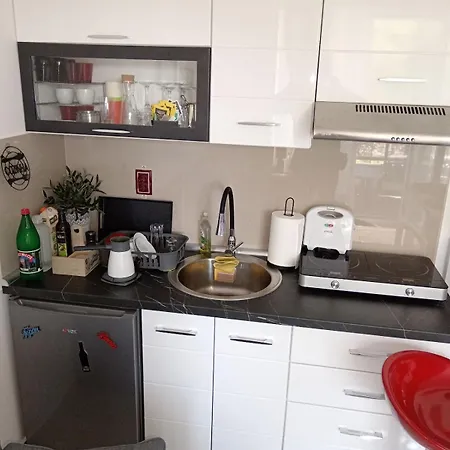 Silver Srebrno Jezero Veliko Gradiste